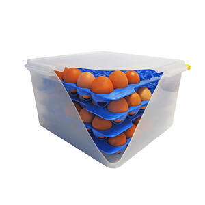 Skladovací a přepravní box na vejce
