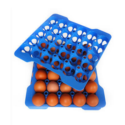 Náhradní vložka pro box na vejce, na 30 vajec - 290 x 290 x 40 mm - 3
